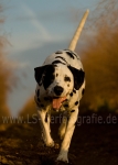 46 Farbenspiel